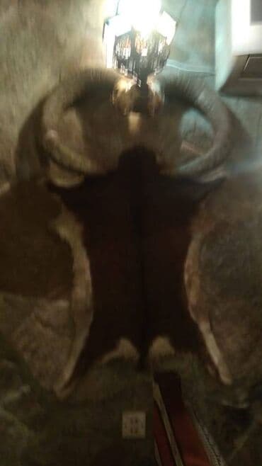 sumqayit 13 mkr: Bakı, 5 otaqlı, Köhnə tikili, 110 kv. m — 10