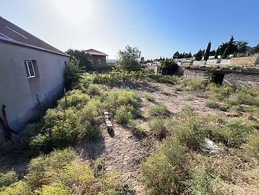 4 sot, Tikinti, Kupça (Çıxarış) — 5