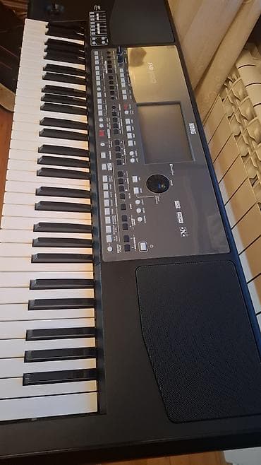 İdman və hobbi: Sintezator, Korg — 10