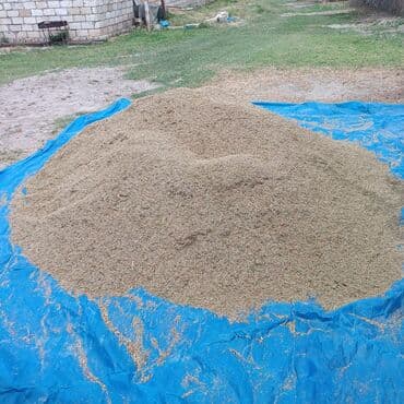 meyvə tərəvəz satışı: Salam. Heyvandarlıqda yenilik artıq payız və qış aylarında daimi göy — 1