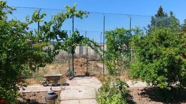 купить дачу в мардакянах: Баку, Новханы, 310 м², 6 комнат, С бассейном, Газ, Комби, Канализация — 4