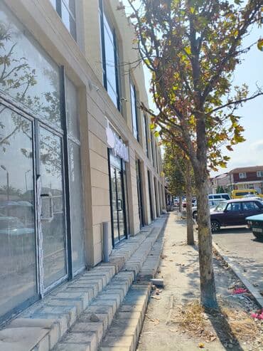 Alfa Romeo: Gəncə ş. Sərcə bazarın qabaq yol qıragı gedış gəlişin sıx oldugu — 5