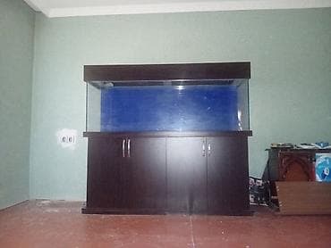 afcarka balalarinin satisi: Alvarium 180×60×50 cəmi 650 manat akvarium yaxşı vəziyyətdədir heç bir — 1