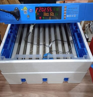 qirqovul satilir: Çin, Fabrik istehsalı, Tam avtomat, Bütün növ quşlaq üçün — 2