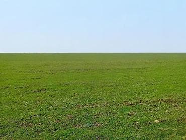 goranboy ev alqi satqisi: 3 sot, Kənd təsərrüfatı, Kupça (Çıxarış) — 2