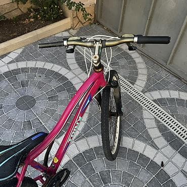 islenmis velosiped: Qadın/yeniyetmə velosipedi – TRINX - Rəng: çəhrayı, dekorativ mavi-ağ — 1