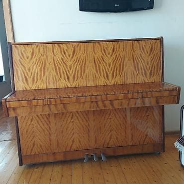 Piano, Belarus, Akustik