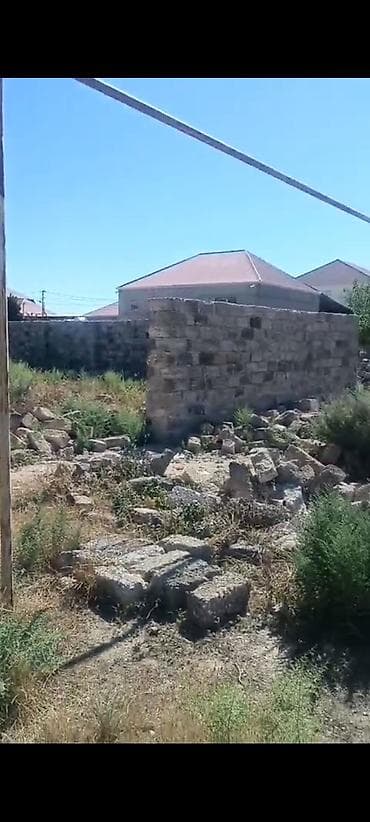 Kənd təsərrüfatı, Kupça (Çıxarış)