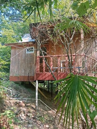 kirayə aylıq: 3000 kv. m, 3 otaqlı — 13