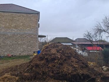 Salam peyin istienler ücün agaclara ve ya güller ucun ideal peyindir