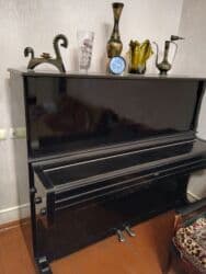 Pianolar: Piano, Kuban, Akustik — 3