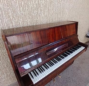 dsx çevik forma: Upright pianino – akustik, 88 klavişli, 2 pedal. Korpus: klassik — 3