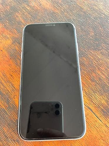 IPhone 11, Ağ