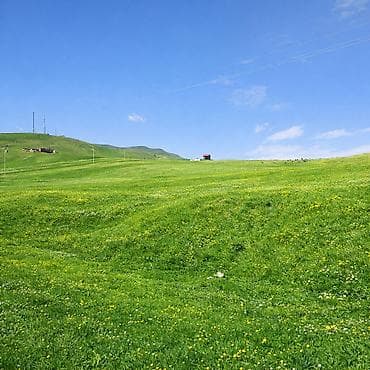 zirədə torpaq satılır: 96 sot, Maklerlər narahat etməsin, Kupça (Çıxarış) — 3