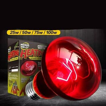 bütün kateqoriyalar: Qizdirici infrared lampa Qızdırıcı keramik lampalar Inkubator və — 1