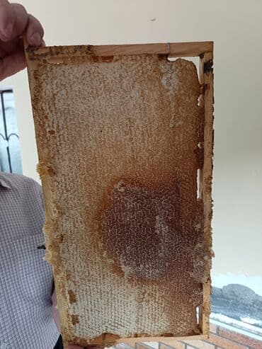 dağ balı: Təbii bal Şanlı bal süzmə (çiçək) balı mövcuddur whatsaap aktivdi — 5