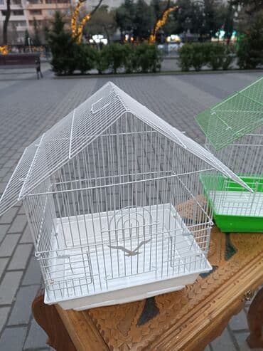 dovşan balası: Dovşan yemləri 2azn Dovşan balaları 5azn topdan Sadə yem Topdan 1-azn — 14