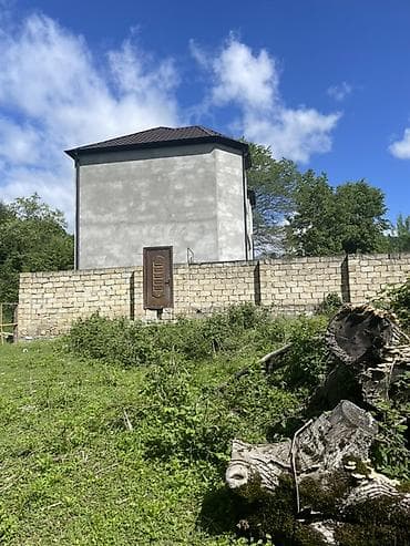 torpag sahesi: Tikinti, Mülkiyyətçi, Kupça (Çıxarış) — 6