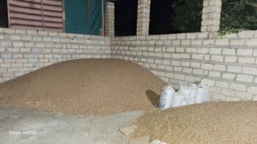 купить домик для кота: Satış: İnek yemi Qarox - Yemin hazırlanması, un dəyirmanı, quşçuluq — 3