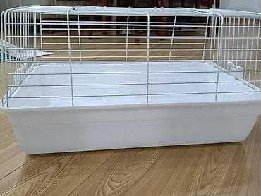 Heyvanlar üçün mallar: Kiçik ev heyvanları üçün qəfəs. Ağ rəngli metal barmaqlı üst hissə və — 5