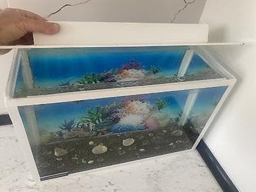 kompresör 100 lt: Dördbucaq akvarium, Balıqlarla birlikdə, 20 l, Ünvandan götürmə — 3