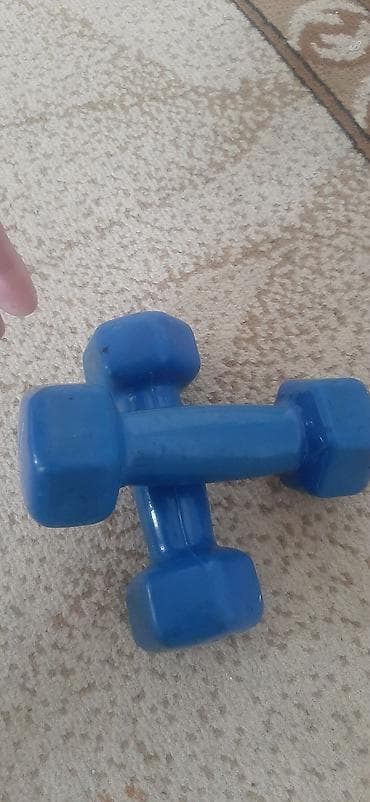 Musiqi alətləri: Girya, İşlənmiş — 2