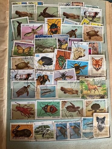 урбеч купить в баку: Markalar — 18