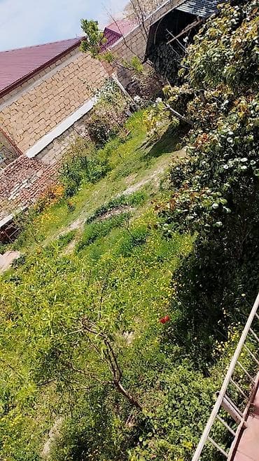 goranboyda kiraye evler: Telebeler(qizlar) üçün kiraye ev. 2ci korpusa sadece bir — 2