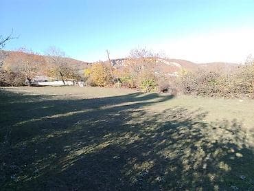 14 sot, Tikinti, Mülkiyyətçi, Kupça (Çıxarış)