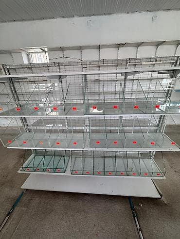 meyvə vitrin: Hamısı birlikde 500 azn. Real alıcıya endirim olunacaq. Ünvan : Bakı — 3