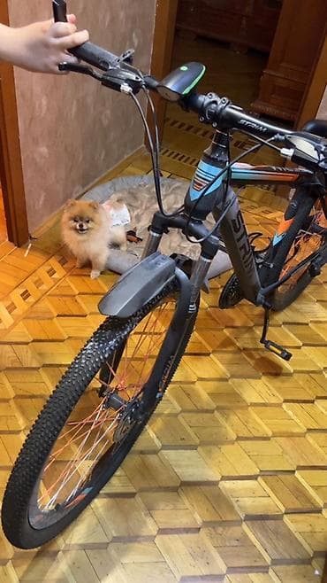 STRIM dağ velosipedi - Güclü alüminium gövdə, mat qara rəngdə at lalafo.az STRIM dağ velosipedi - Güclü alüminium gövdə, mat qara rəngdə
