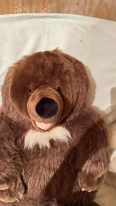 oyuncağ maşınlar: Мягкая игрушка — 5