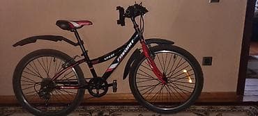 Uşaq arabaları: İki təkərli Uşaq velosipedi 24" — 2