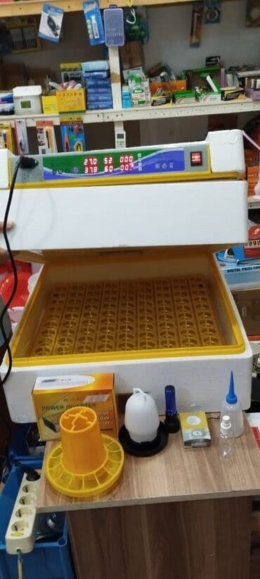 sud şağan aparat: Inkubatorlarin birinci əl satişi unversal inkubator inkubator 196 — 2