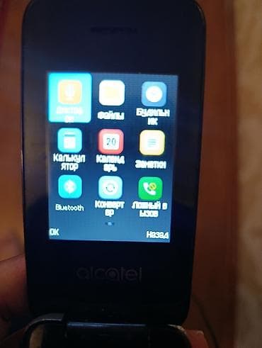 mini notebook computer: Alcatel OT-206, 4 GB, rəng - Gümüşü, Düyməli — 8