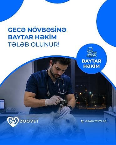 Həkim tələb olunur, İstənilən yaş, 3-5 illik təcrübə, Gecə növbəsində iş
