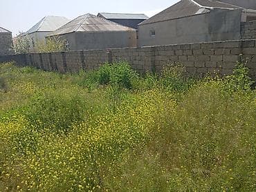 suraxan: Tikinti — 4