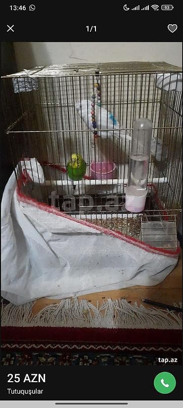 Məhsul: Tutquşular və qəfəs dəsti - Növ: Dalmatian/Budgerigar