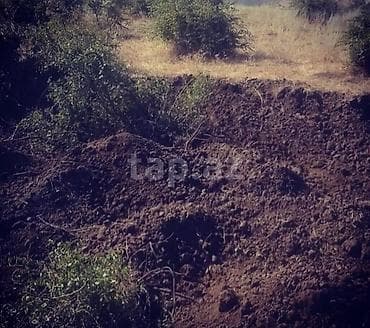 pronto mmc neftciler: 12 sot, Kənd təsərrüfatı — 5