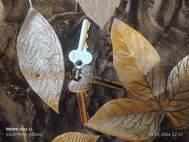 dəmir profel: Qırmızı rəngli metal üstlük qapı qıfılı – “Oğurluqdan Qoruyan Bolt” — 5