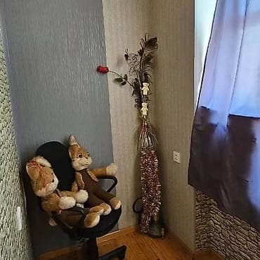 mingecevirde ev satilir: Şirvan şəhəri Yaşıl marketin yaninda 4 otaqli temirli əşyaları ilə — 7