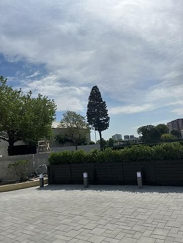 Xidmət: Hündür ağacların budanması və formaya salınması Təsvir: - — 3