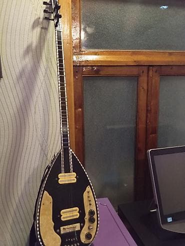 korg pa 5x pro: Elektrikləşdirilmiş saz – unikal hibrid musiqi aləti - Korpus: armud — 6