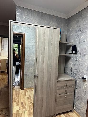 dolab paltar: 2 qapılı, Güzgülü, Qəhvəyi, Taxta, Açılan, Düz dolab — 1