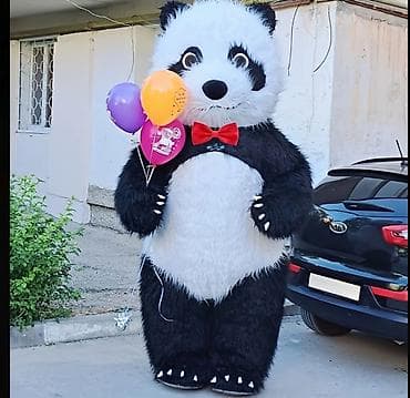 Panda maskot qəhrəmanı ilə tədbir animasiyası və sürpriz təbrik