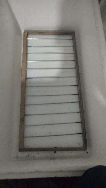 Ev şəraitində quş və ya sürünən yumurtalarının çıxarılması üçün