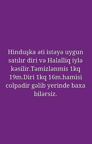 Hinduşka əti satışı – istəyə uyğun diri şəkildə və halallıqla kəsim