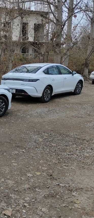 chevrolet cruze arxa stop led: Salam hazır el krediti byd ilkin ödəniş 11 min bir ay peryod ayda 815 — 2