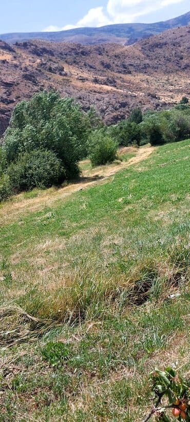 аренда и продажа недвижимости: Əkin sahəsi kənd təsərrüfatı fəaliyyəti üçün geniş imkanlar təklif — 4