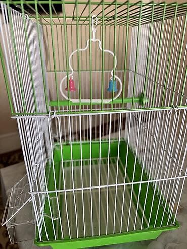 qus sesi: Təp təzə Quş qəfəsi – orta ölçü, yaşıl altlıqla - Material: ağ — 4